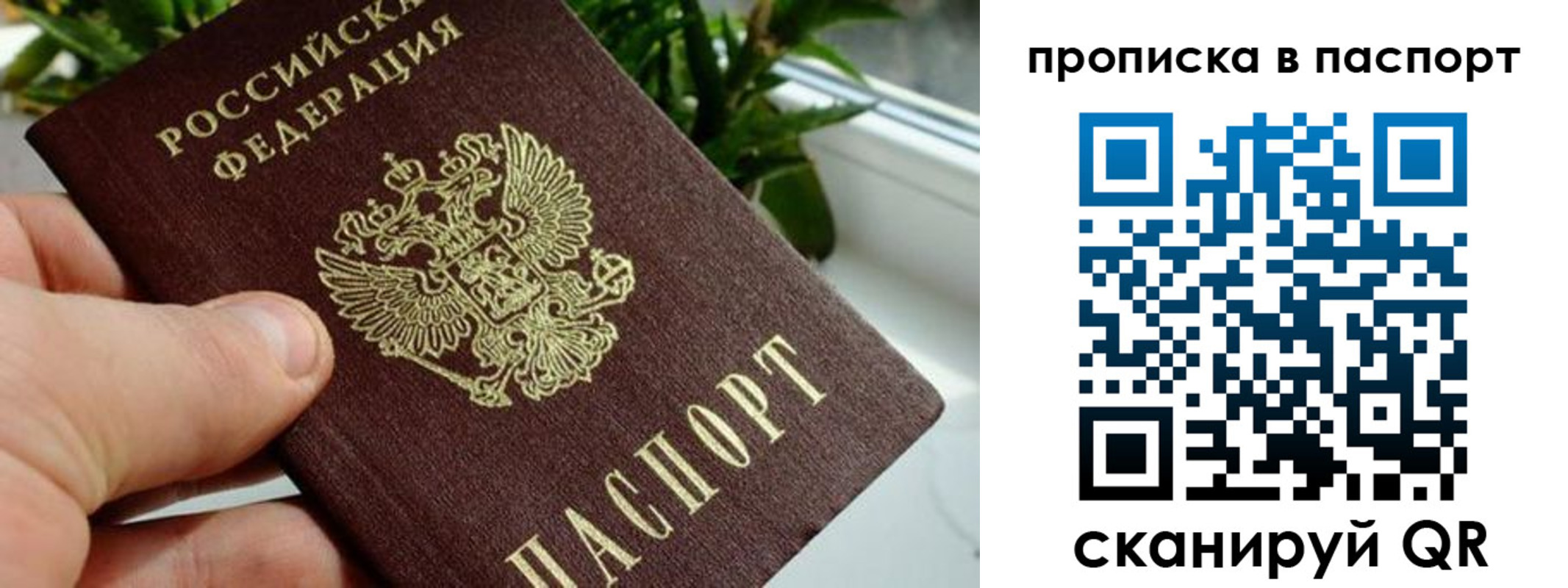 пропишу в квартире в Палласовке
